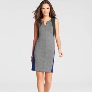 Ann Taylor Tweed Dress